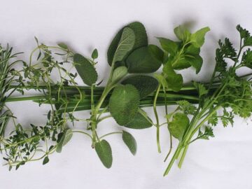 Fresh Herbs | EatSimpleFood.com