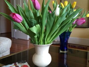 Spring Tulips & Rumi - Eat Simple Food