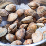 Bowl of Fresh Littleneck Clams on ice in a stainless steel bowl. clos up.