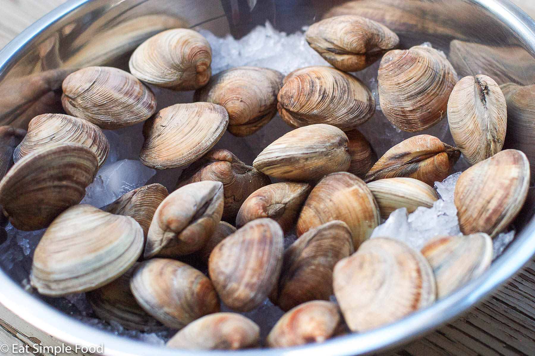 Bowl of Fresh Littleneck Clams on ice in a stainless steel bowl. clos up.