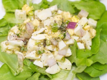 Diced egg mixed with thyme, diced red onions, capers, and sliced chives on a bed of butter lettuce.