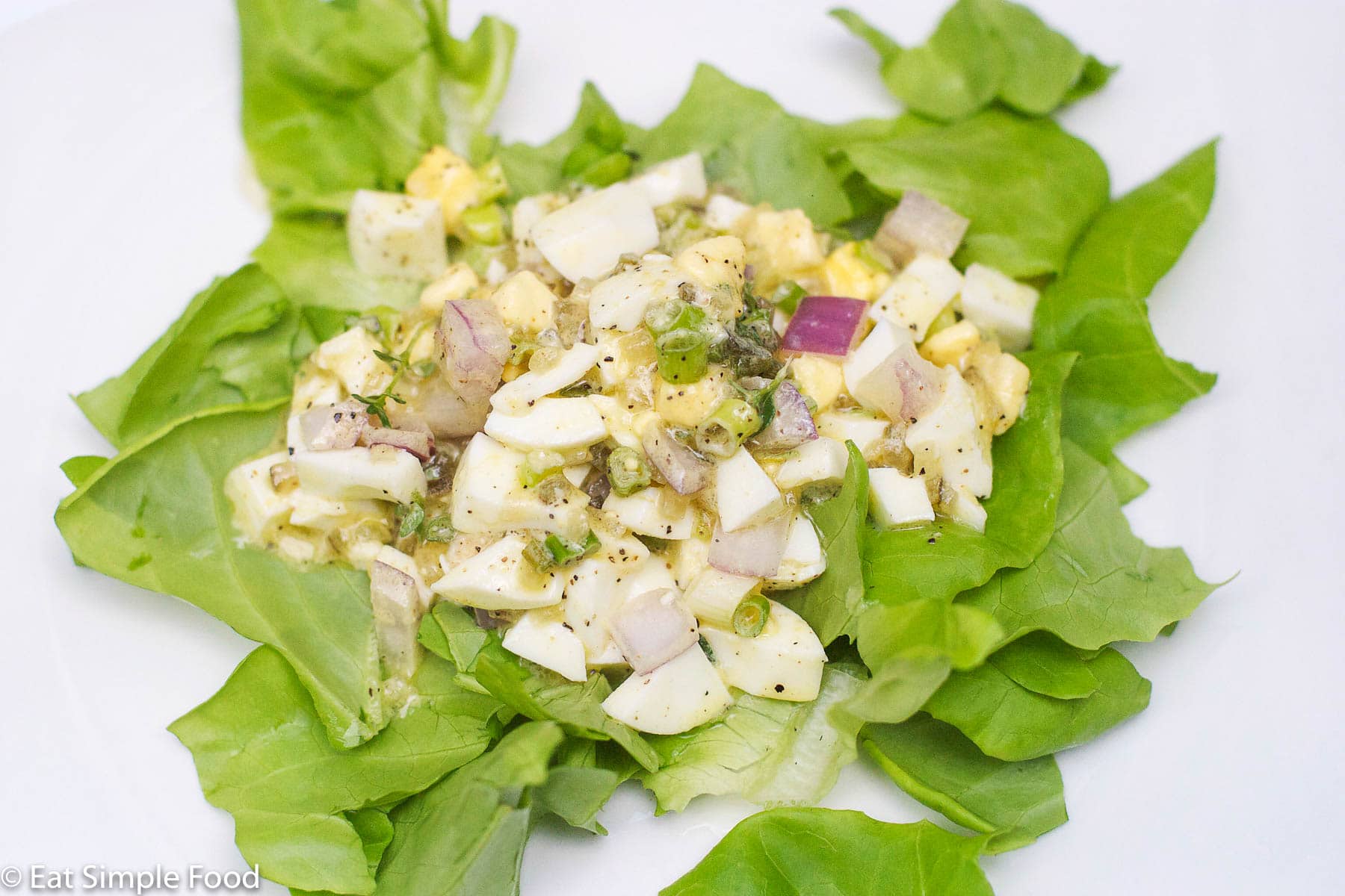 Diced egg mixed with thyme, diced red onions, capers, and sliced chives on a bed of butter lettuce.