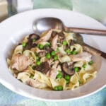 White Shallow bowl of cooked shredded chicken, green sweet peas, curly egg noodles and sliced mushrooms.