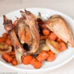 Small Whole Roasted Pheasant and pheasant breast on white plate to top of roasted onions and carrots.