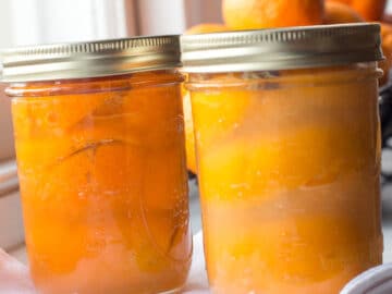 one quart size jar of preserved lemons. one quart size jar of preserved clementines. On a white kitchen towel. fresh clementines in background.