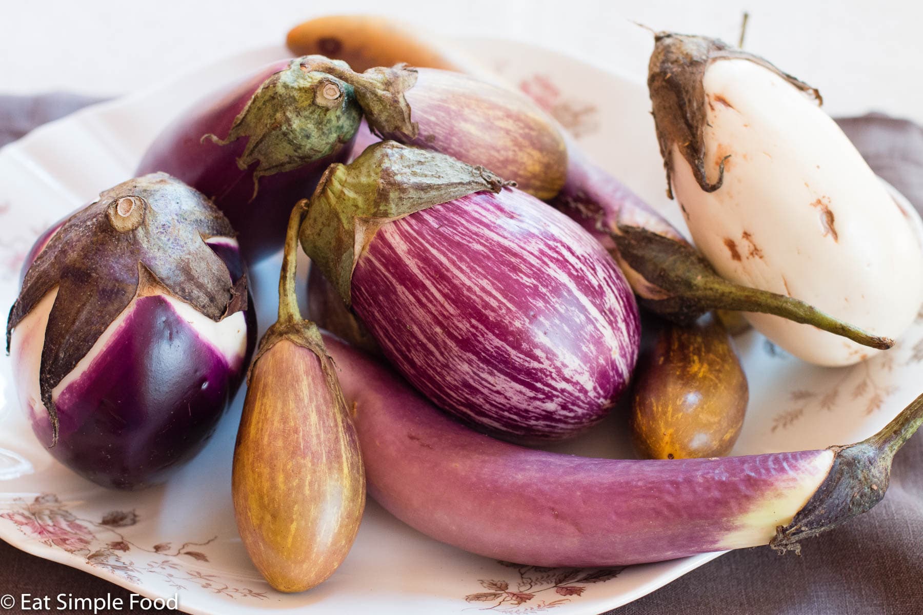 Different Eggplant Varieties -purple, white, light purple, purple striped, long and skinny and fat and short on a white plate.