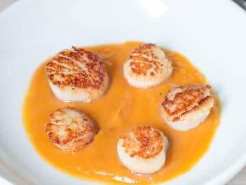 5 Seared Scallops In A Bowl With a Light Layer Of Roasted Sweet Potato Puree