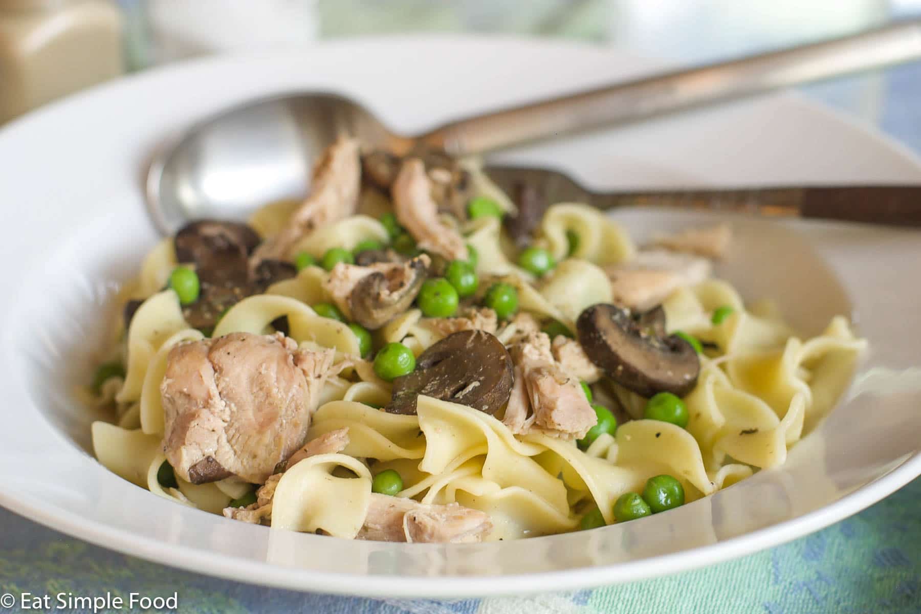 White Shallow bowl of cooked shredded chicken, green sweet peas, curly egg noodles and sliced mushrooms. Close up.