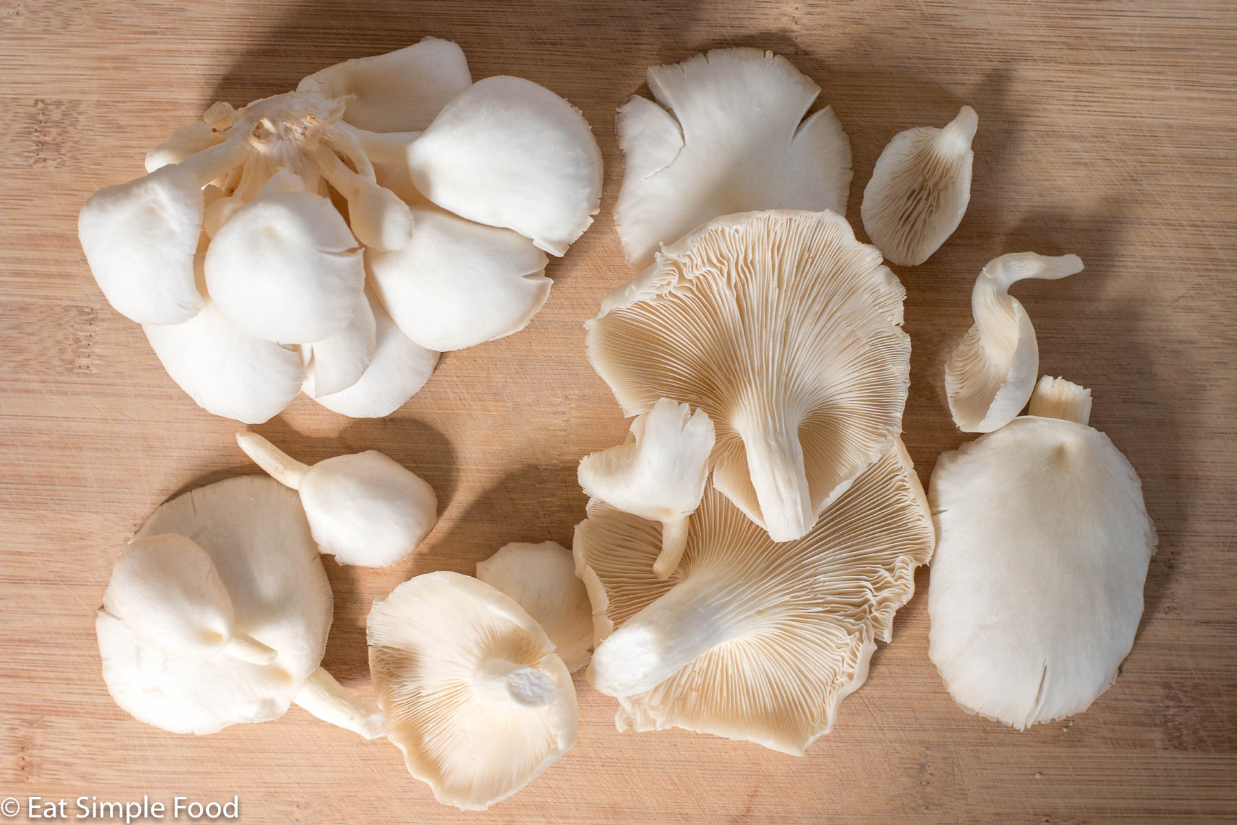Raw Pearl Oyster Mushrooms