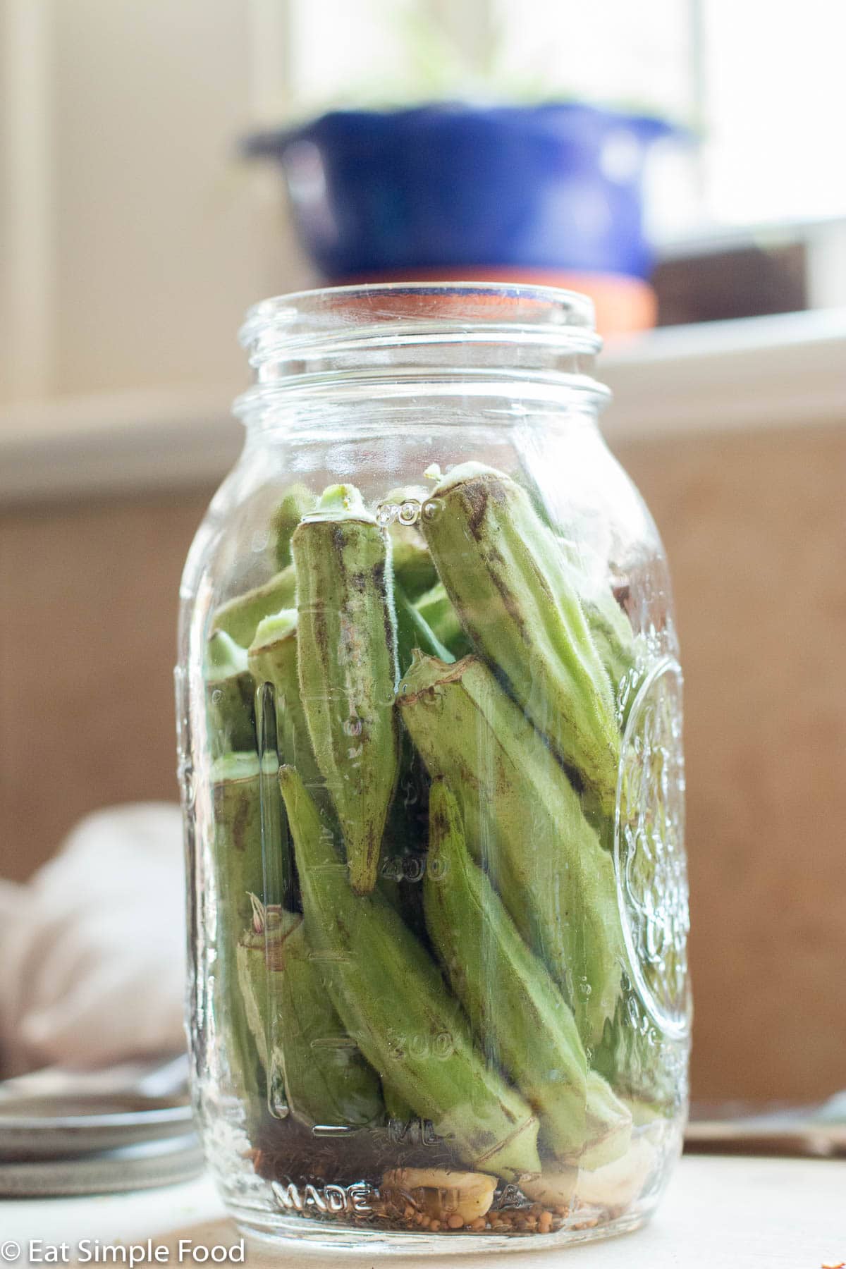 Mason quart jar filled with whole okra, garlic cloves, and spices.