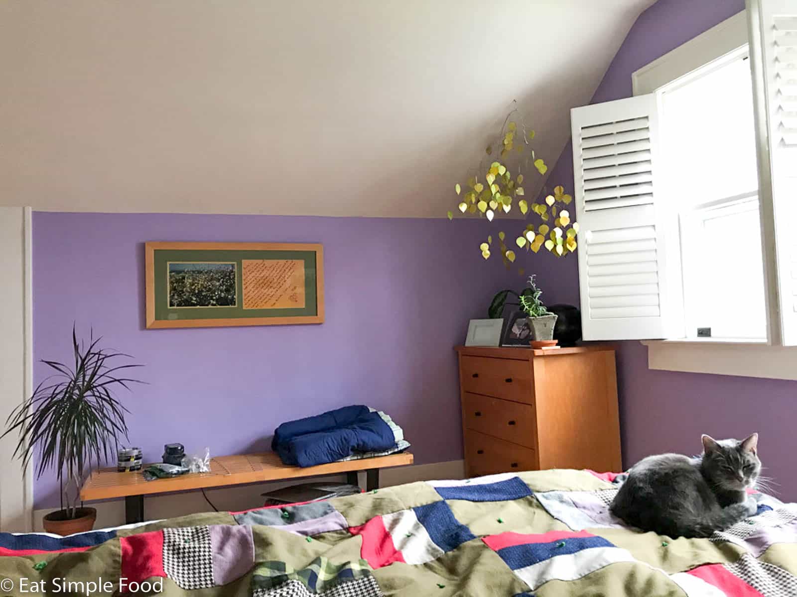 Cat sleeping curled up on a colorful knit blanket in a bedroom on a bed.
