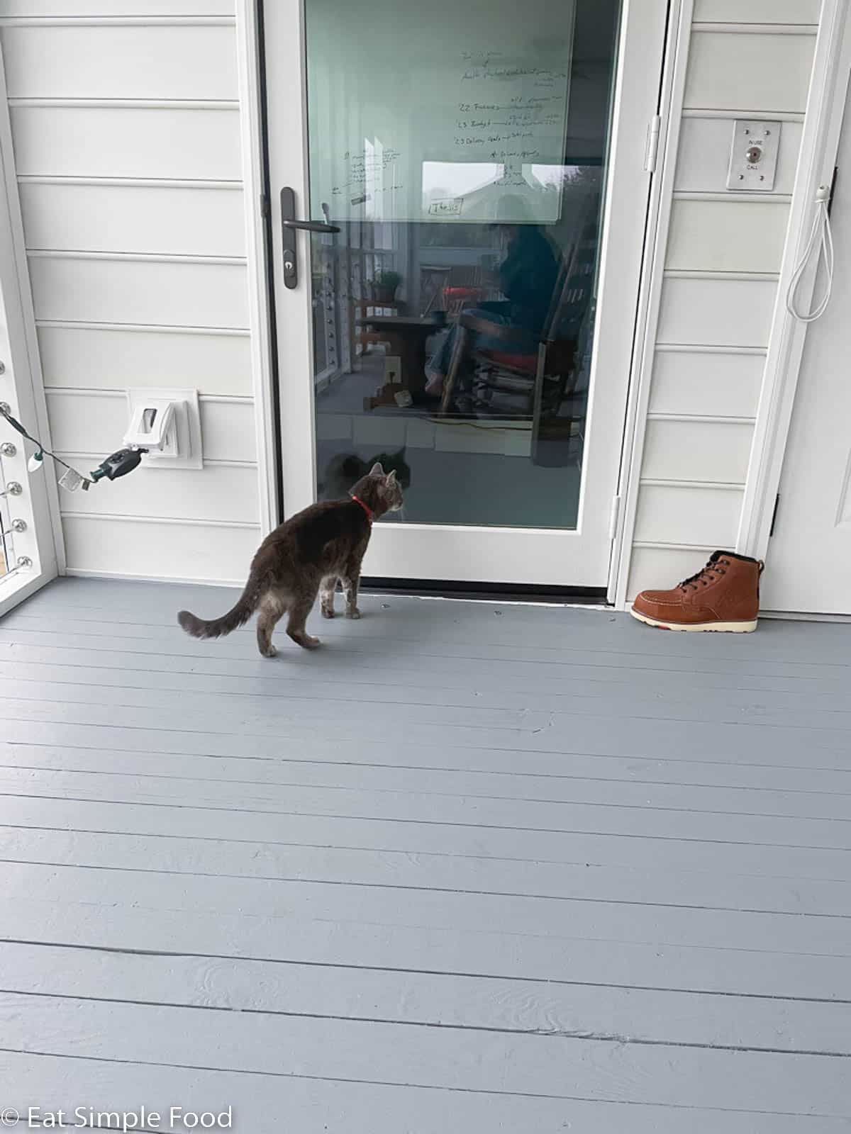 Grey cat looking into a door of glass with the reflection of a human on a rocking chair.