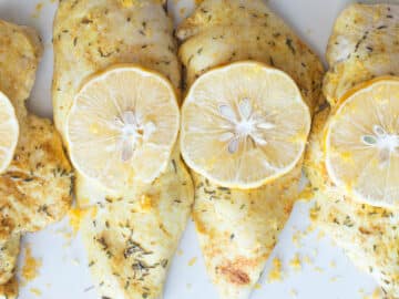 Top down view of 4 pieces of chicken breast with seasoning on top and lemon slices on a white plate. Close up.