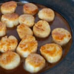 Close up of brown plate of cooked scallops in orange brown sauce.