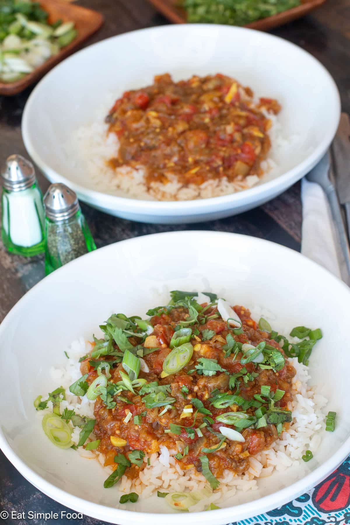 Two white plates filled with rice topped with a red curry and sliced green onions and green herbs. Green salt and pepper shaker on the side.